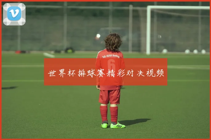 世界杯排球赛精彩对决视频