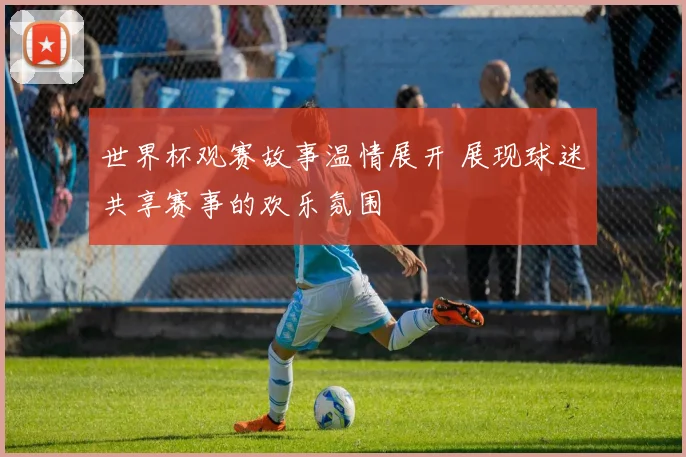 世界杯观赛故事温情展开 展现球迷共享赛事的欢乐氛围