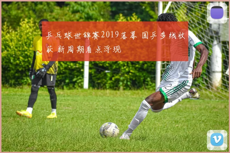 乒乓球世锦赛2019落幕 国乒多线收获 新周期看点浮现